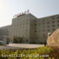 �Ϻ�������Ƶ�