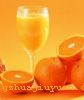 Orange Juice֭Orange JuiceȺ