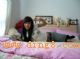 �ҽ�С��19��
